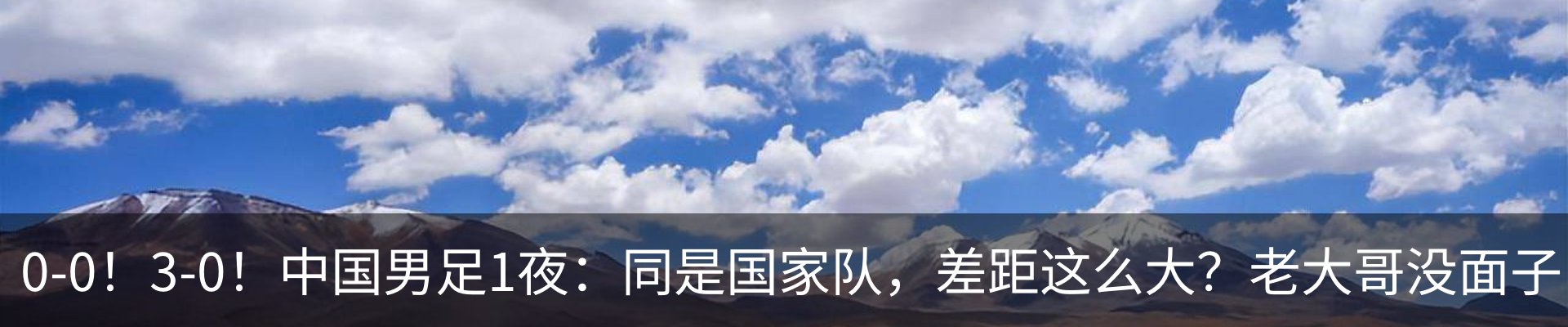 新闻动态